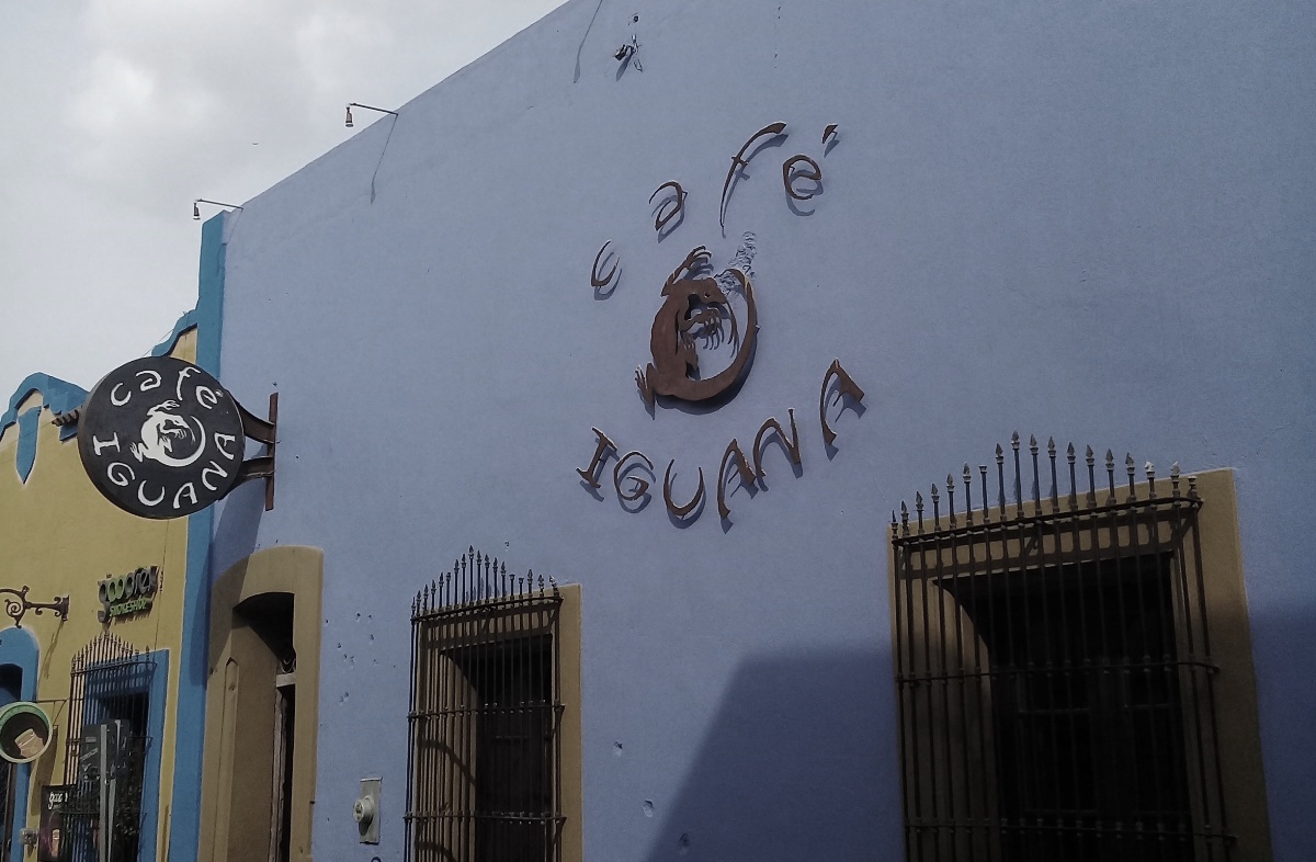 café iguana